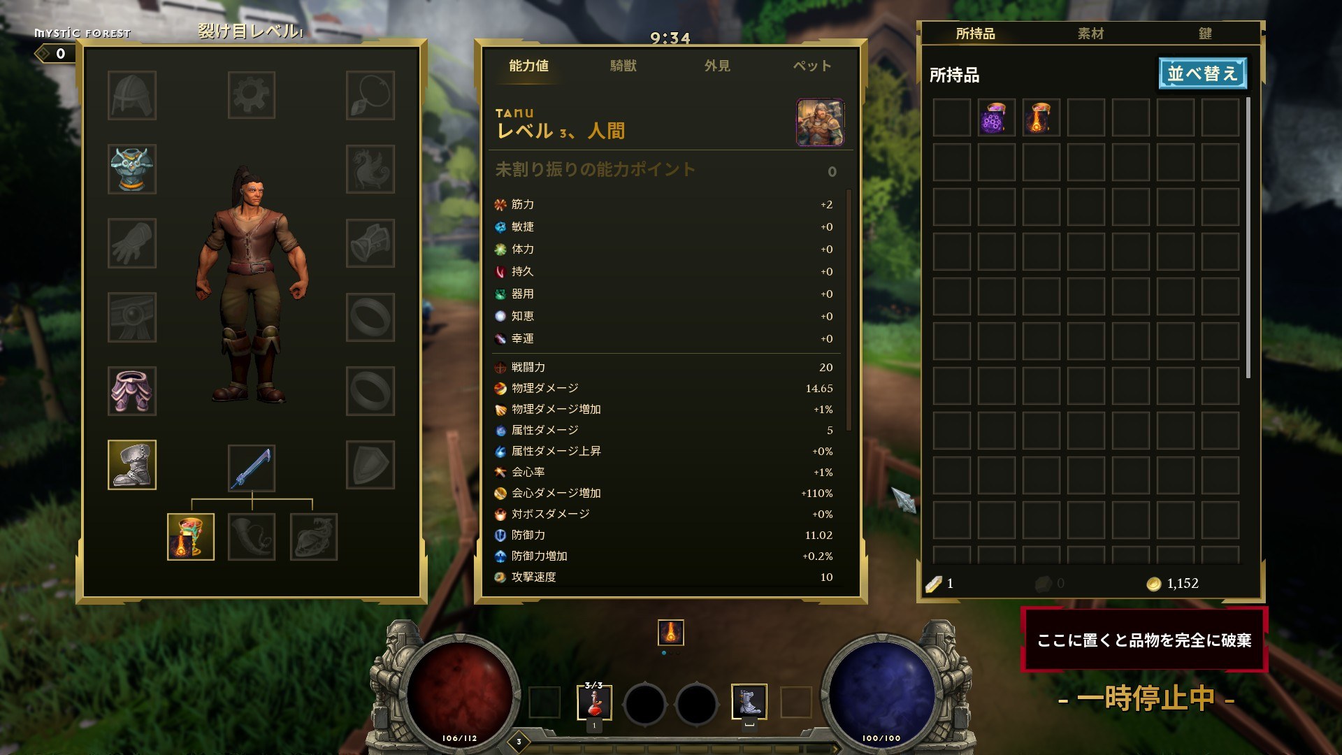 能力値と所持品の画面が日本語で表示されている
